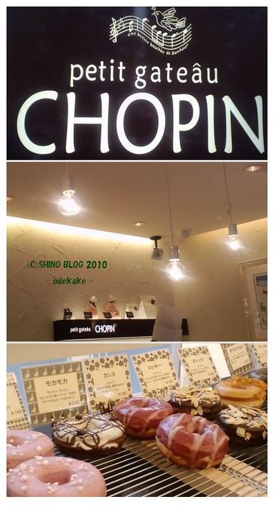 chopin2.jpg